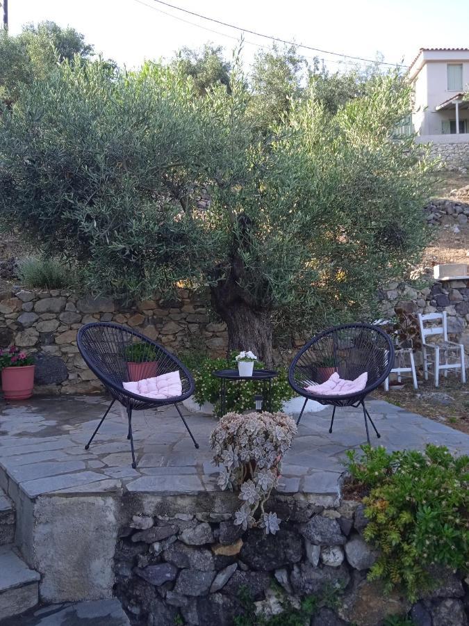 Marianna Studios Agios Petros  外观 照片