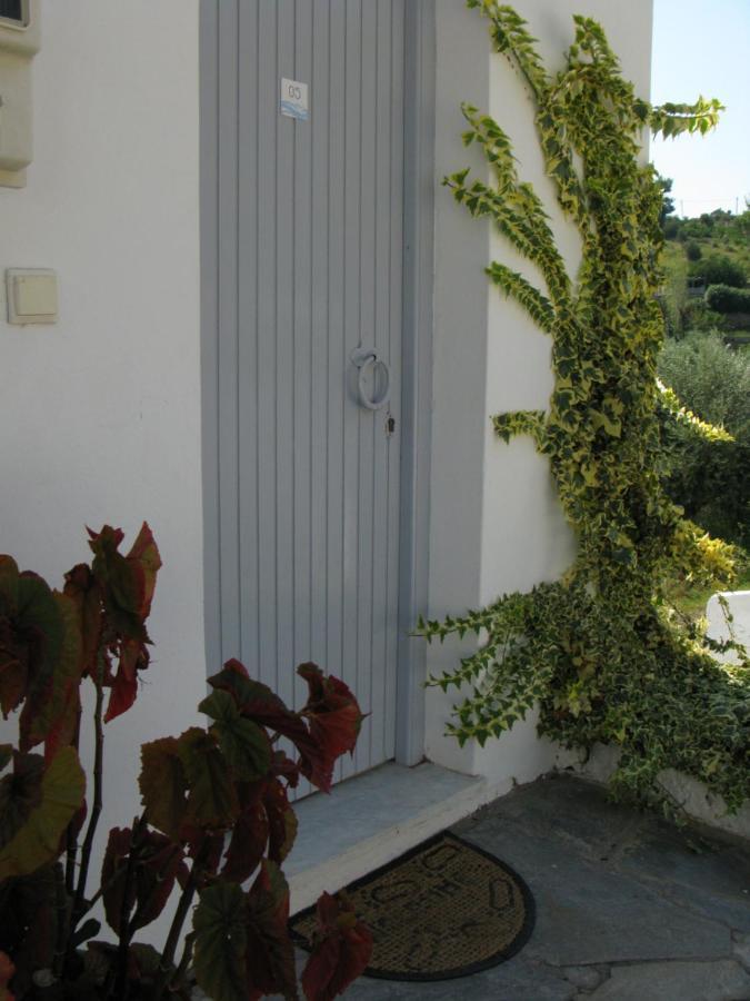 Marianna Studios Agios Petros  外观 照片